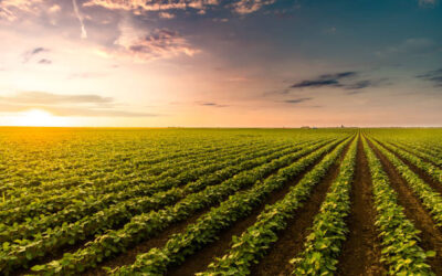 Školsko natjecanje u disciplini AGRO