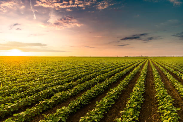 Školsko natjecanje u disciplini AGRO