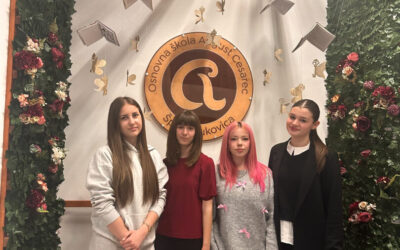 ŽUPANIJSKO NATJECANJE IZ HRVATSKOGA JEZIKA