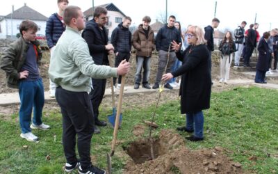 DVIJE NOVE SADNICE U ŠKOLSKOM DVORIŠTU